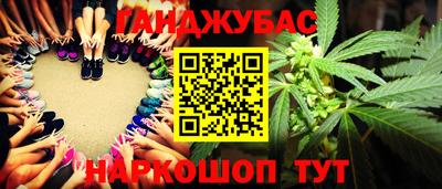 стаф Шахты