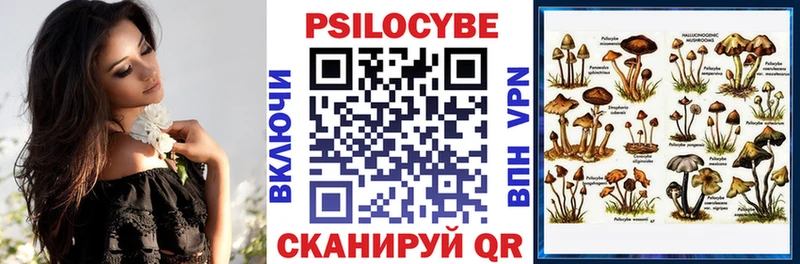 Галлюциногенные грибы GOLDEN TEACHER  закладки  Курчалой 