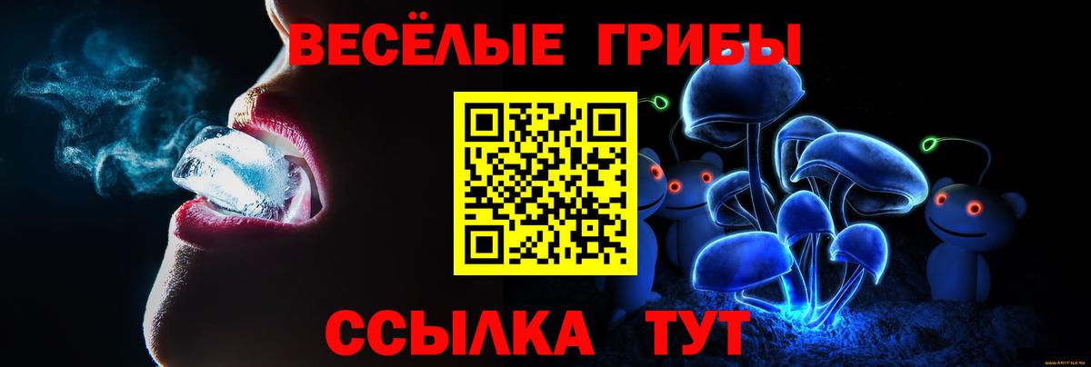 Курчалой  купить   Вход с VPN  Галлюциногенные грибы Psilocybe  Псилоцибиновые грибы мухоморы 